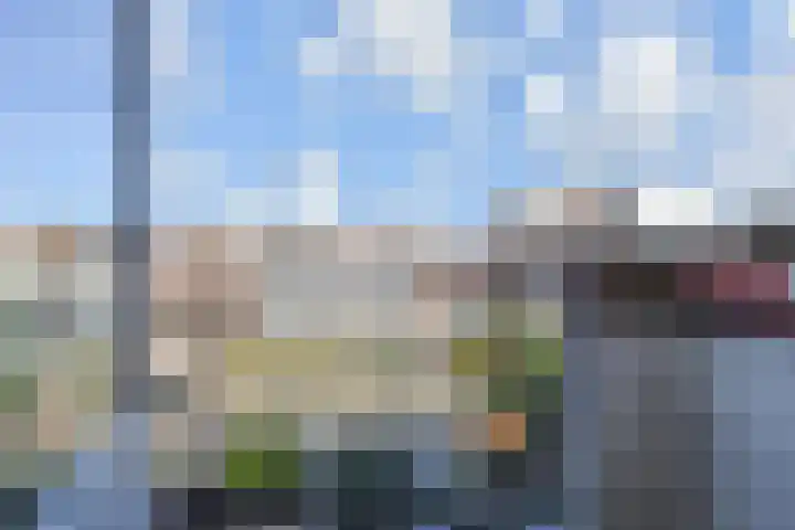 Mient 11 Den Haag thumbnail 29