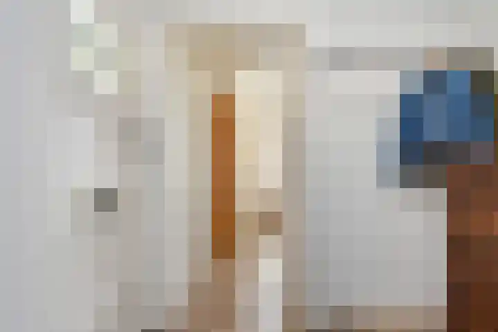 Mient 11 Den Haag thumbnail 33