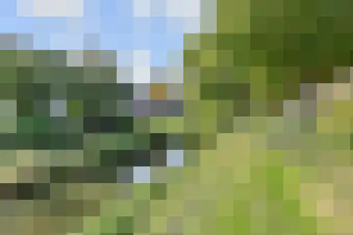 Mient 11 Den Haag thumbnail 42