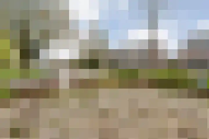 Mient 11 Den Haag thumbnail 43