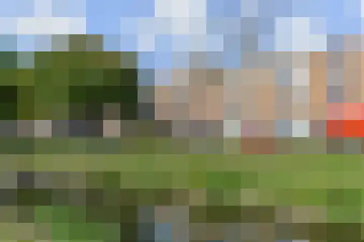 Mient 11 Den Haag thumbnail 44