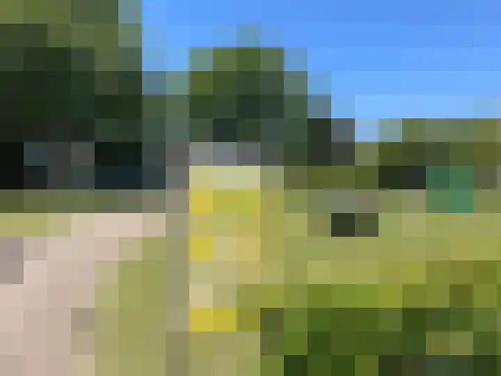 Mient 11 Den Haag thumbnail 46