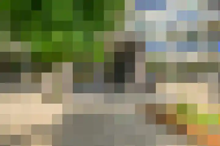Mient 11 Den Haag thumbnail 49