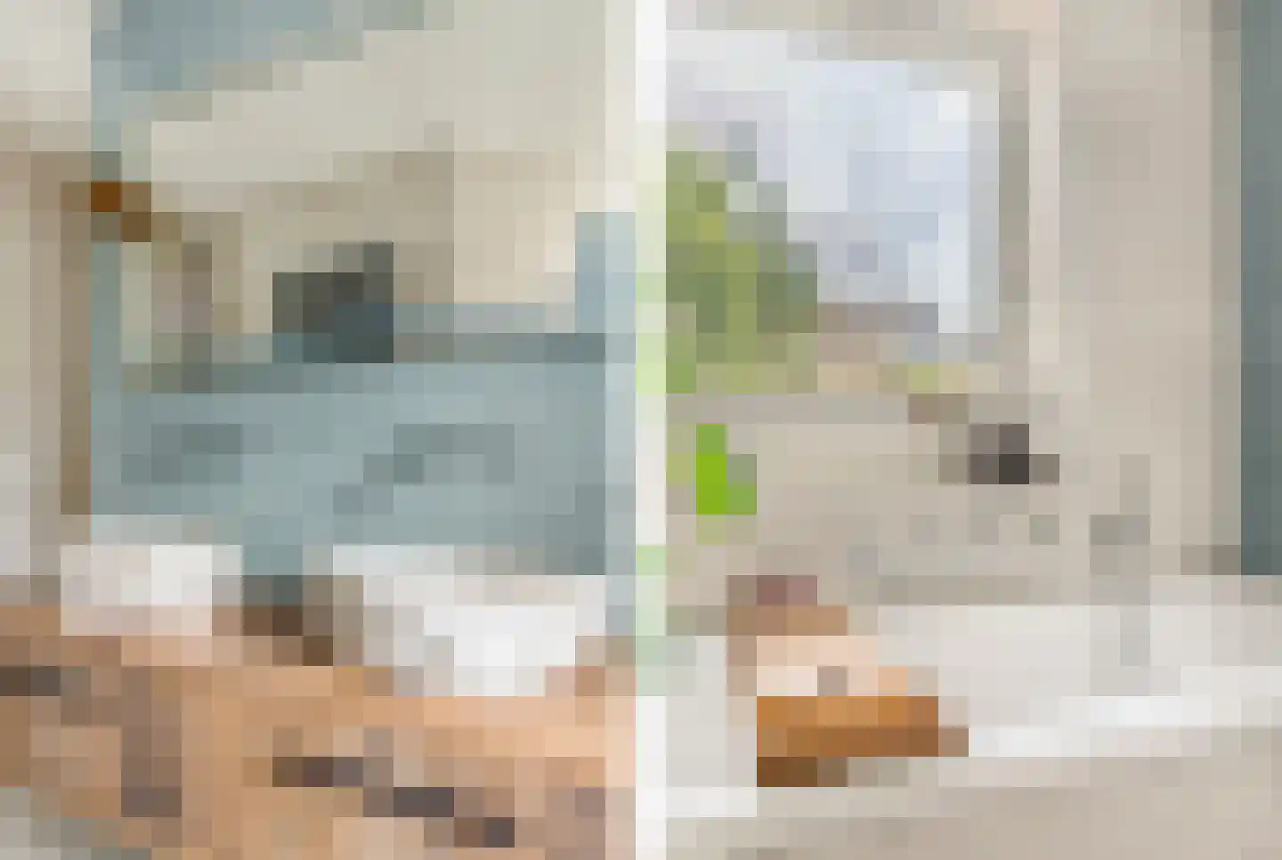 Mient 111 Castricum thumbnail 16