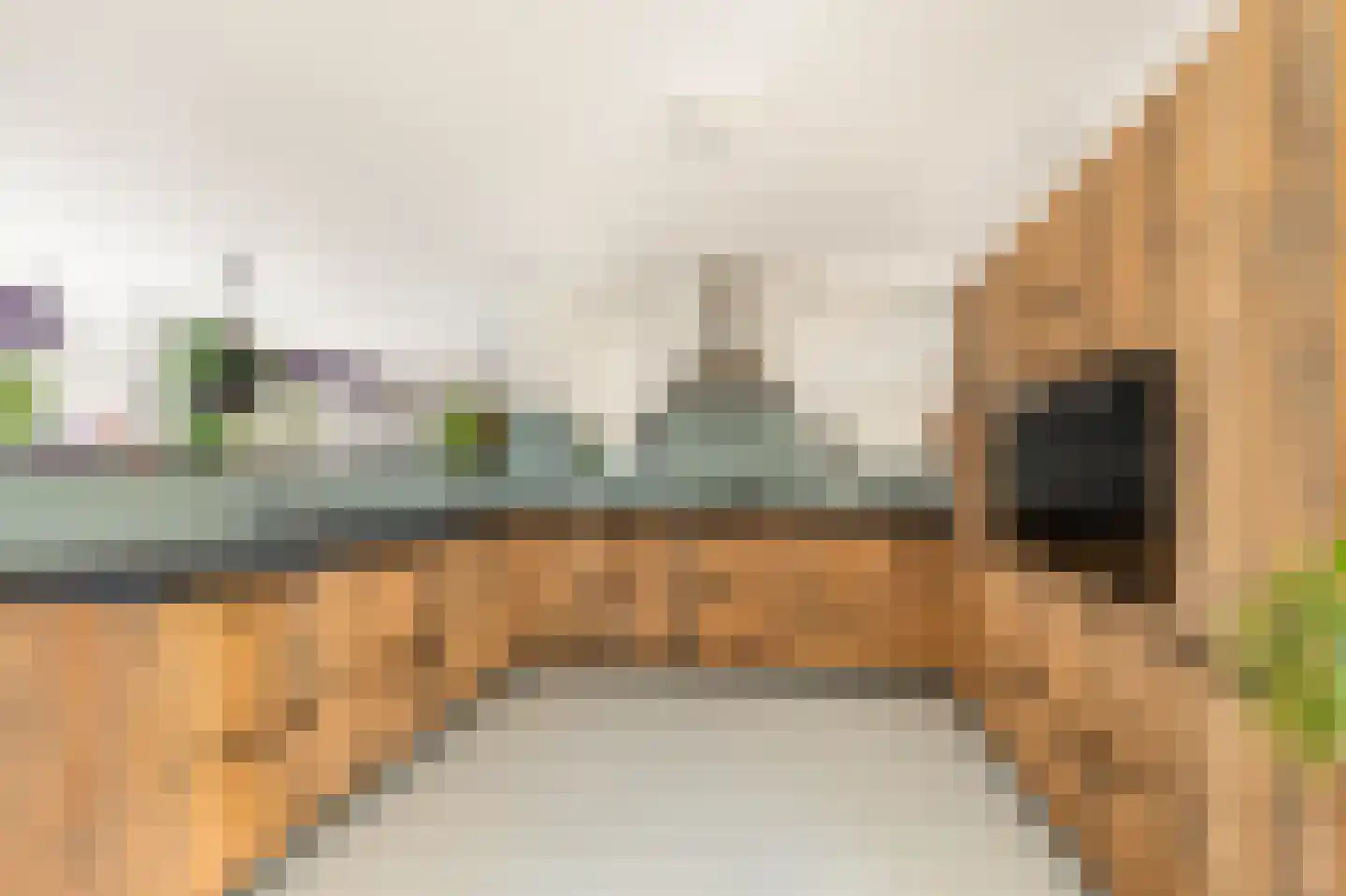 Mient 111 Castricum thumbnail 19