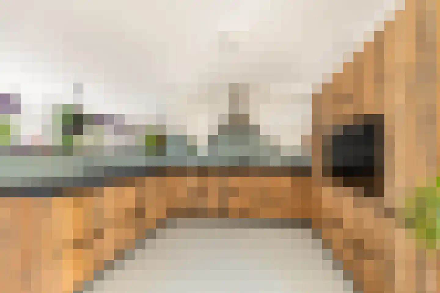 Mient 111 Castricum thumbnail 20