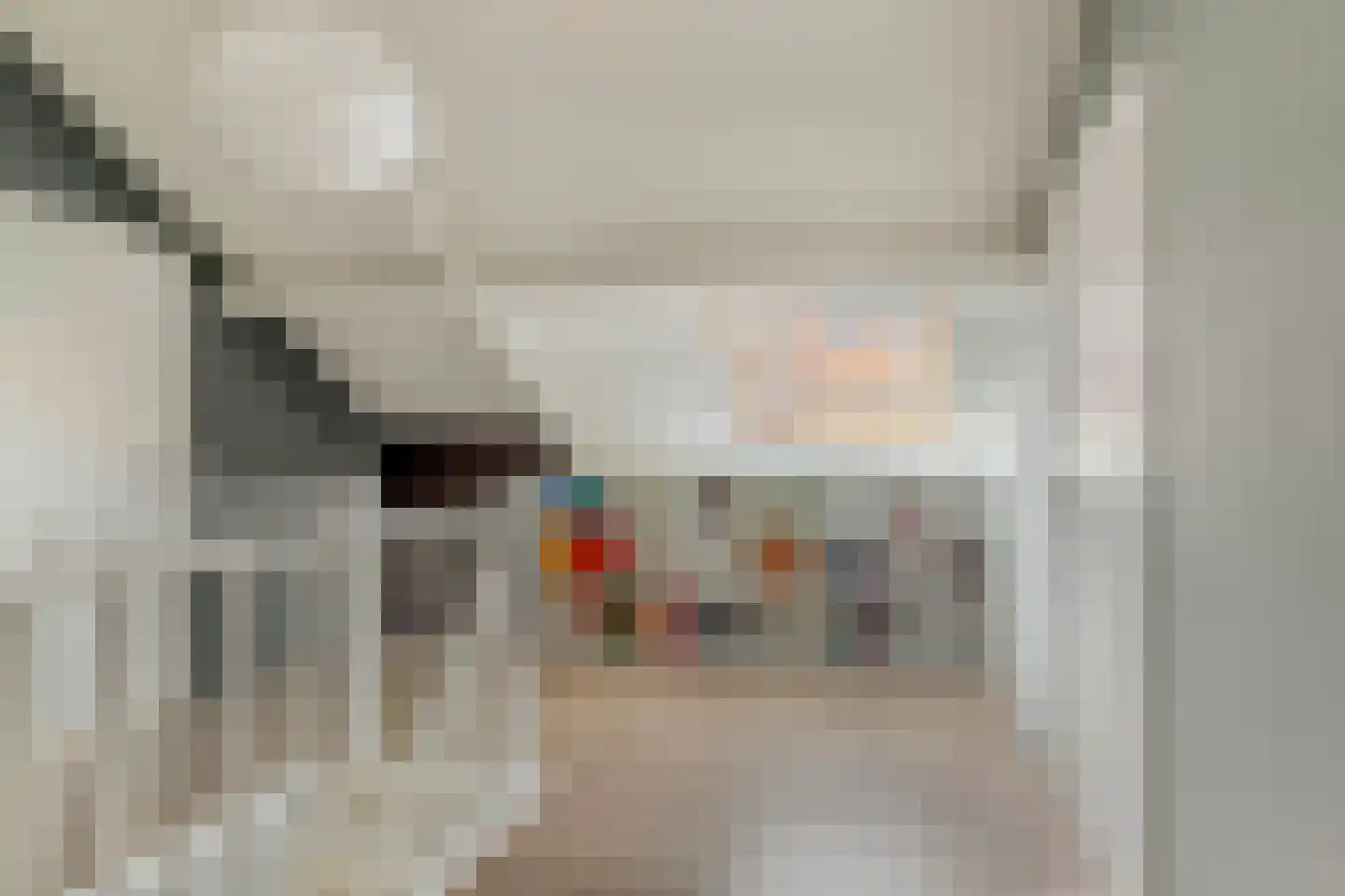 Mient 111 Castricum thumbnail 30