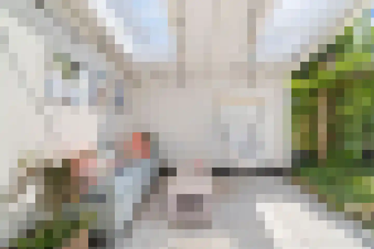 Mient 111 Castricum thumbnail 40