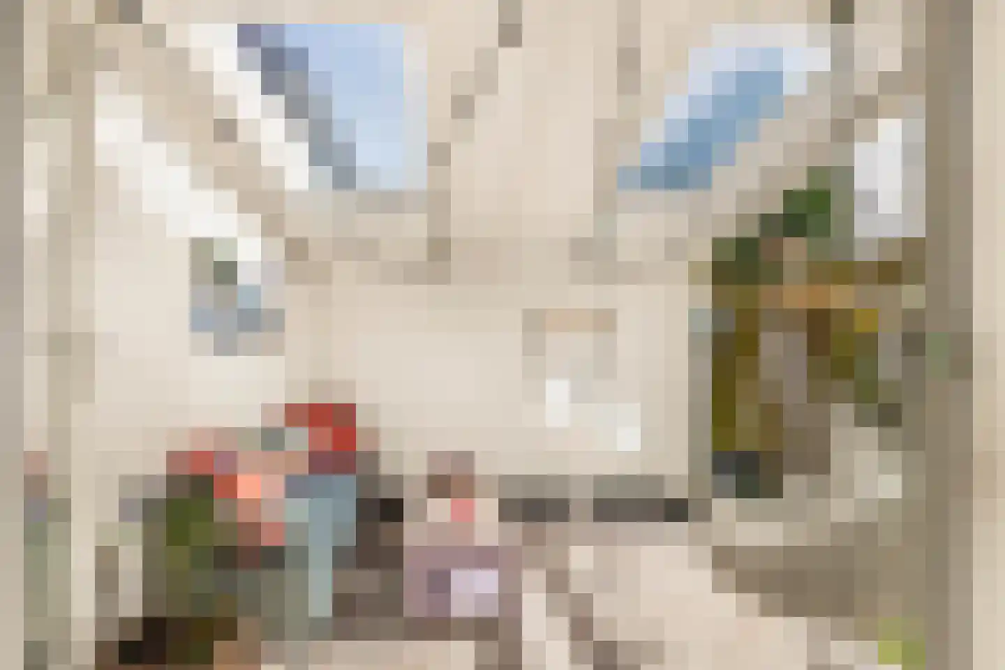 Mient 111 Castricum thumbnail 41