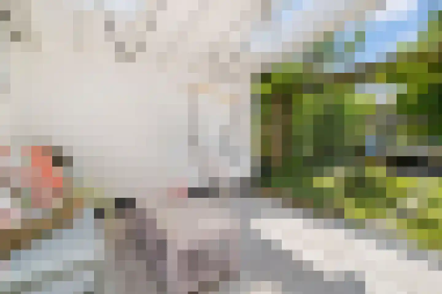 Mient 111 Castricum thumbnail 41