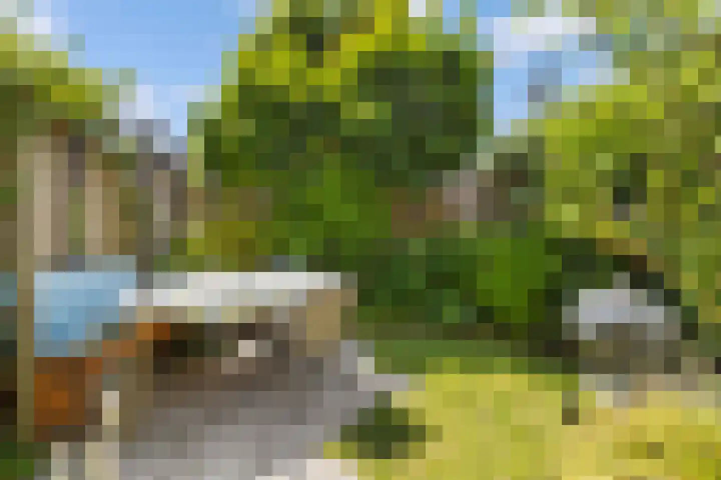 Mient 111 Castricum thumbnail 44