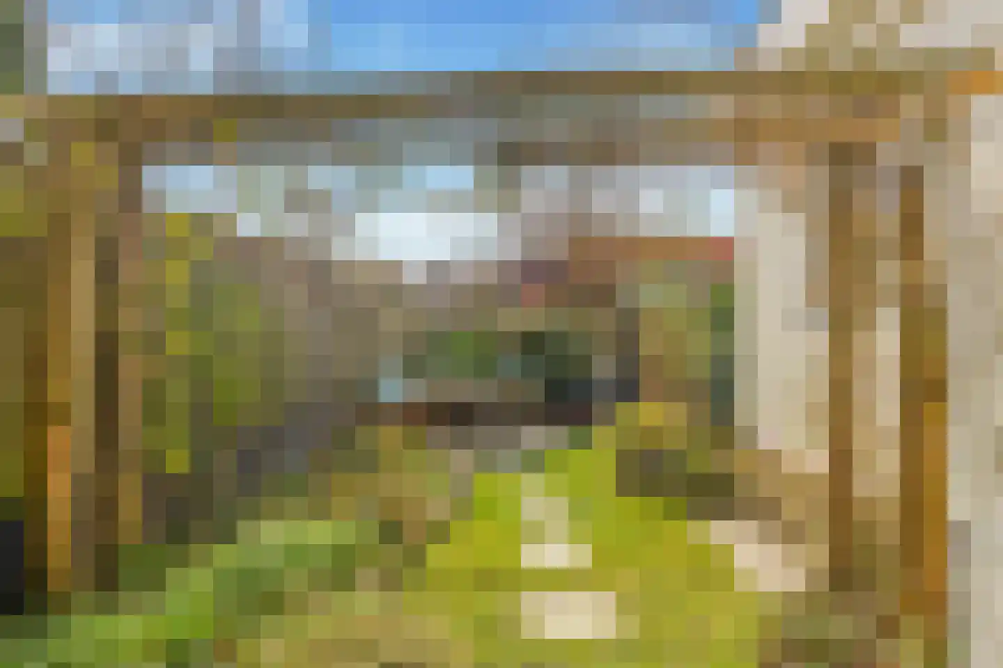 Mient 111 Castricum thumbnail 44