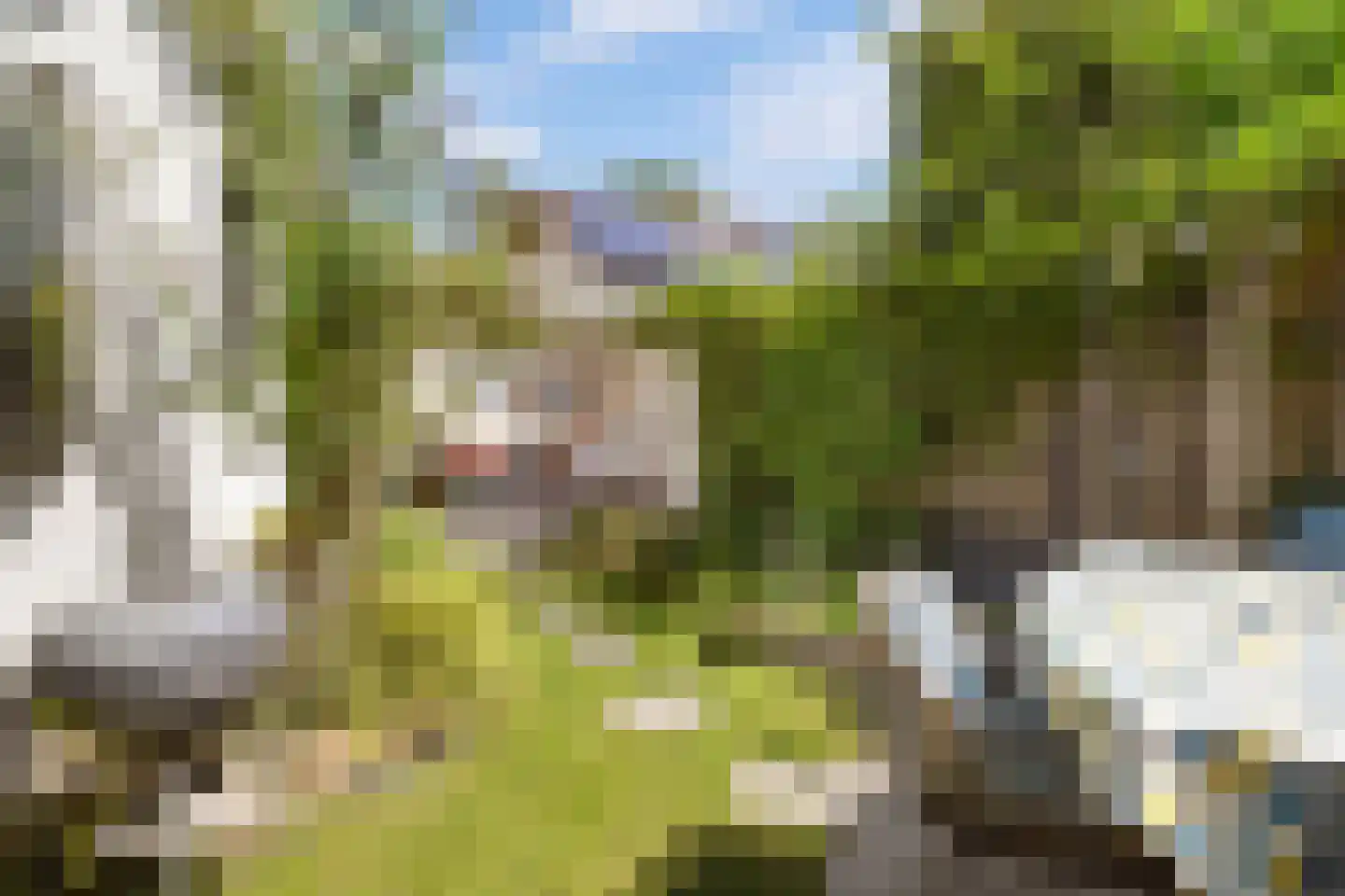 Mient 111 Castricum thumbnail 44
