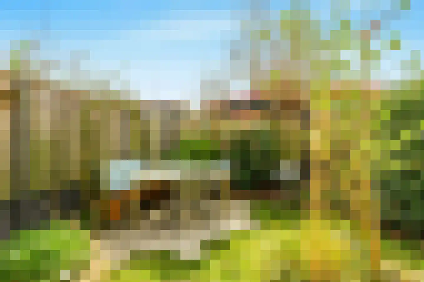 Mient 111 Castricum thumbnail 45