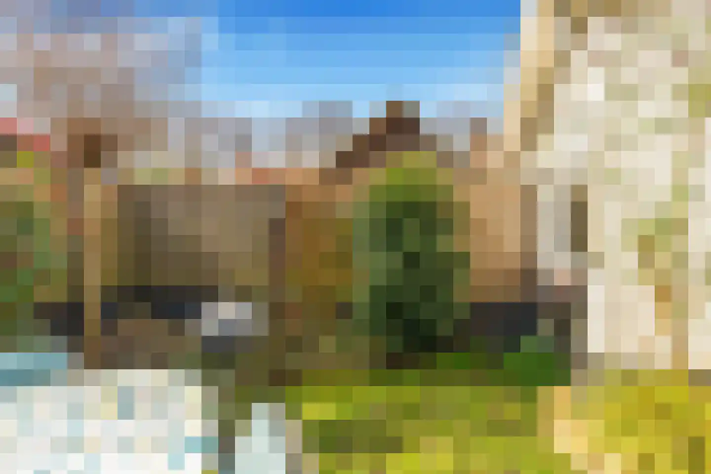 Mient 111 Castricum thumbnail 46