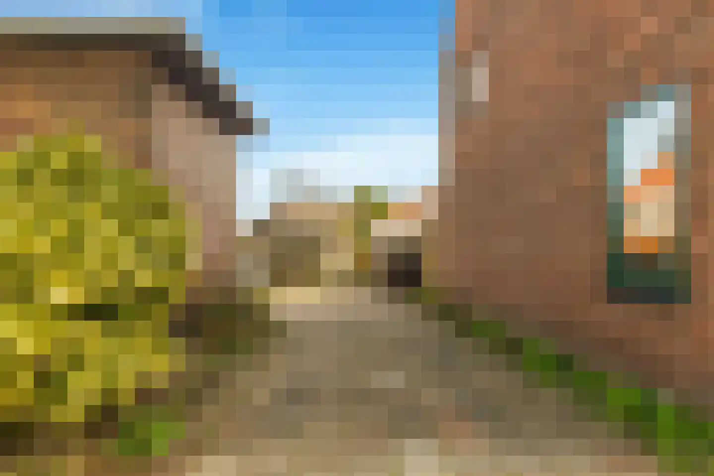 Mient 111 Castricum thumbnail 48