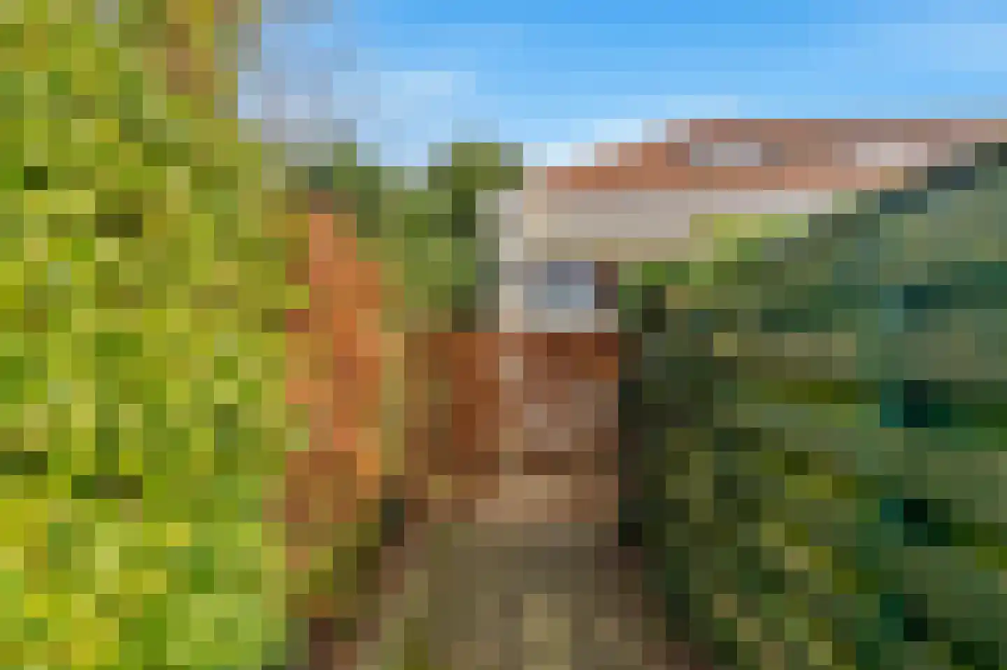 Mient 111 Castricum thumbnail 5