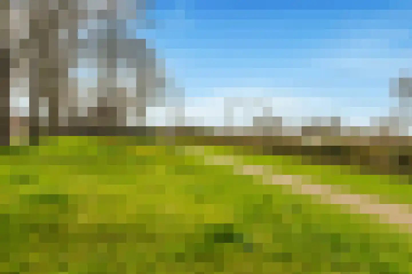 Mient 111 Castricum thumbnail 50