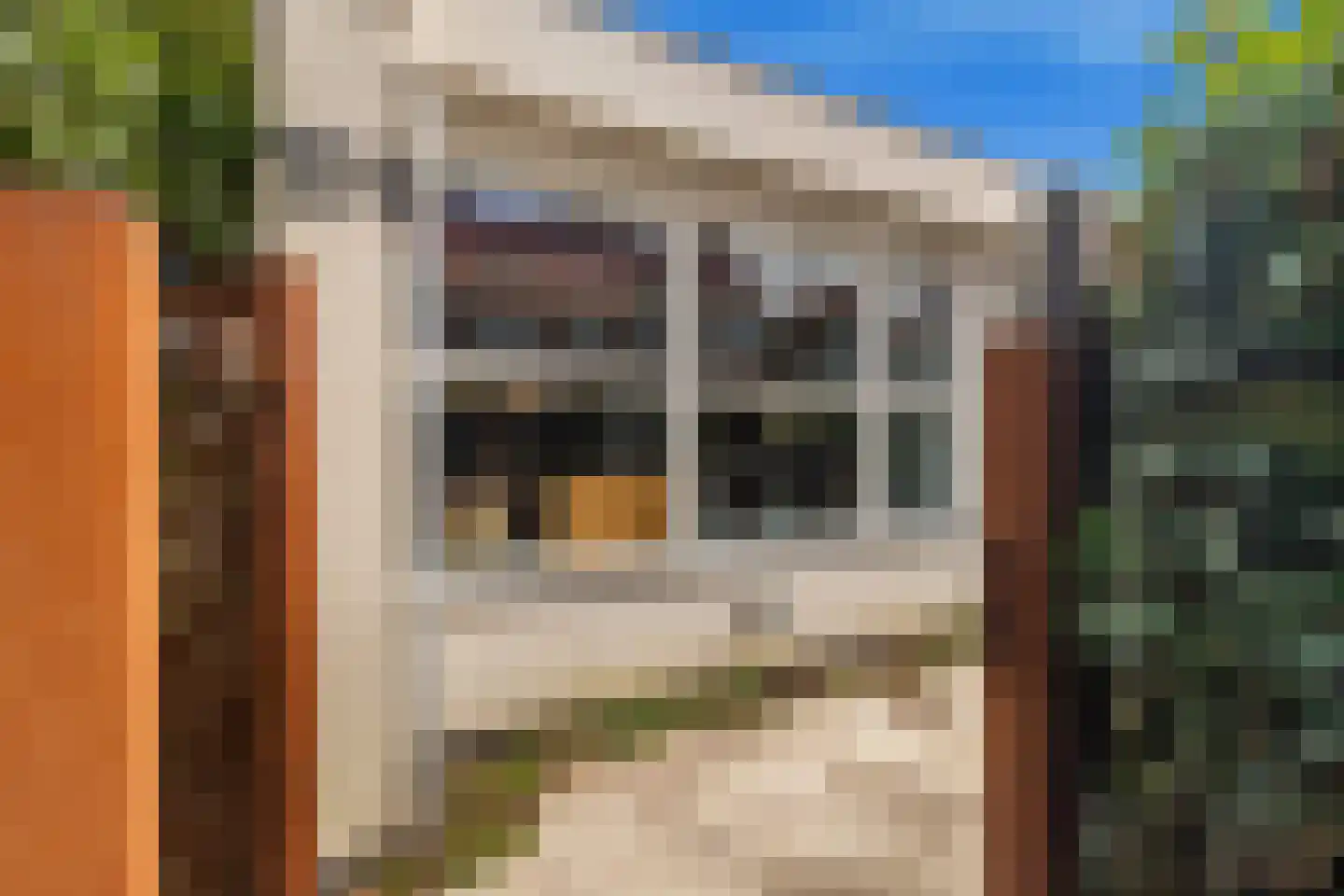 Mient 111 Castricum thumbnail 6