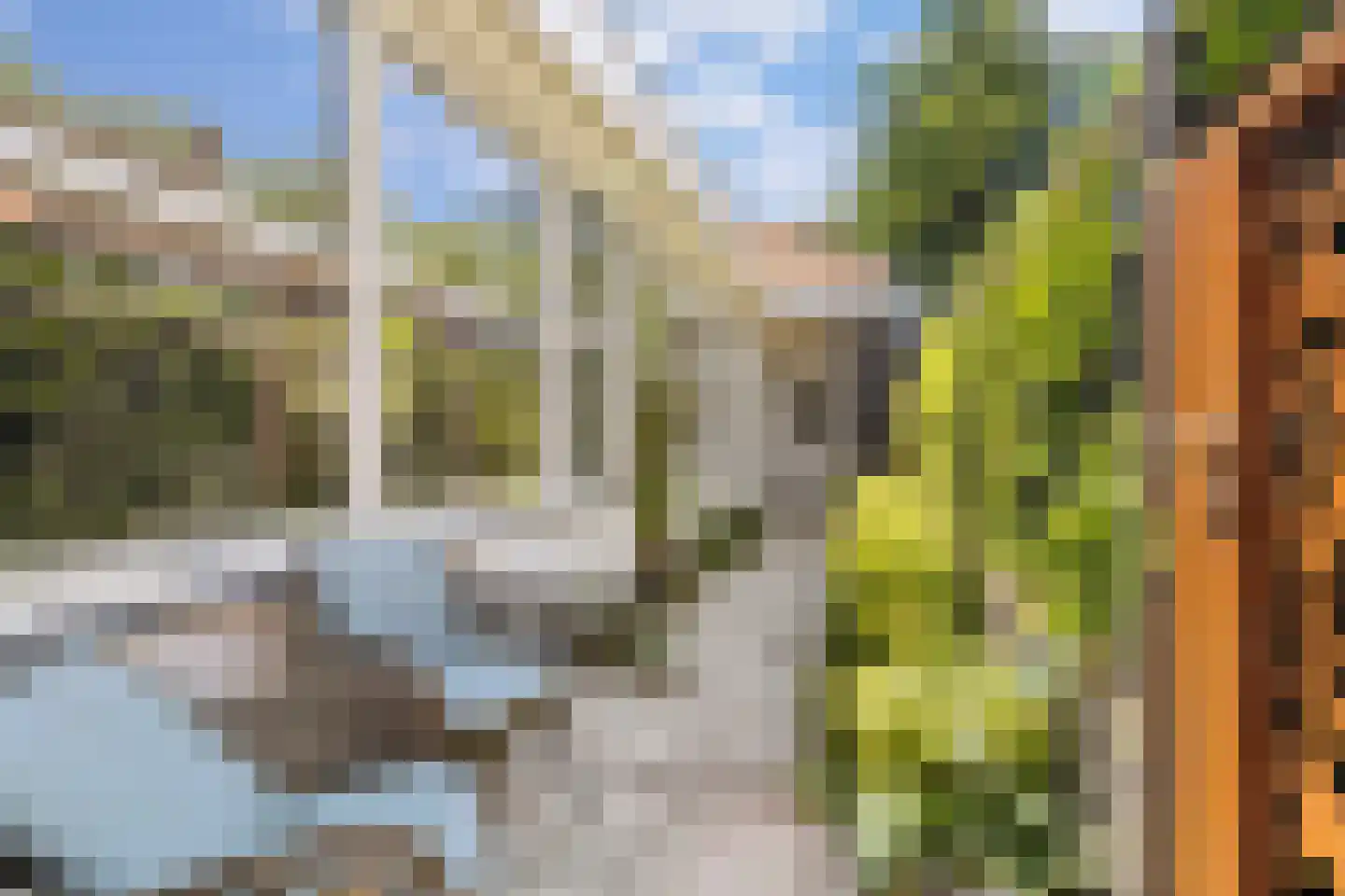Mient 111 Castricum thumbnail 7