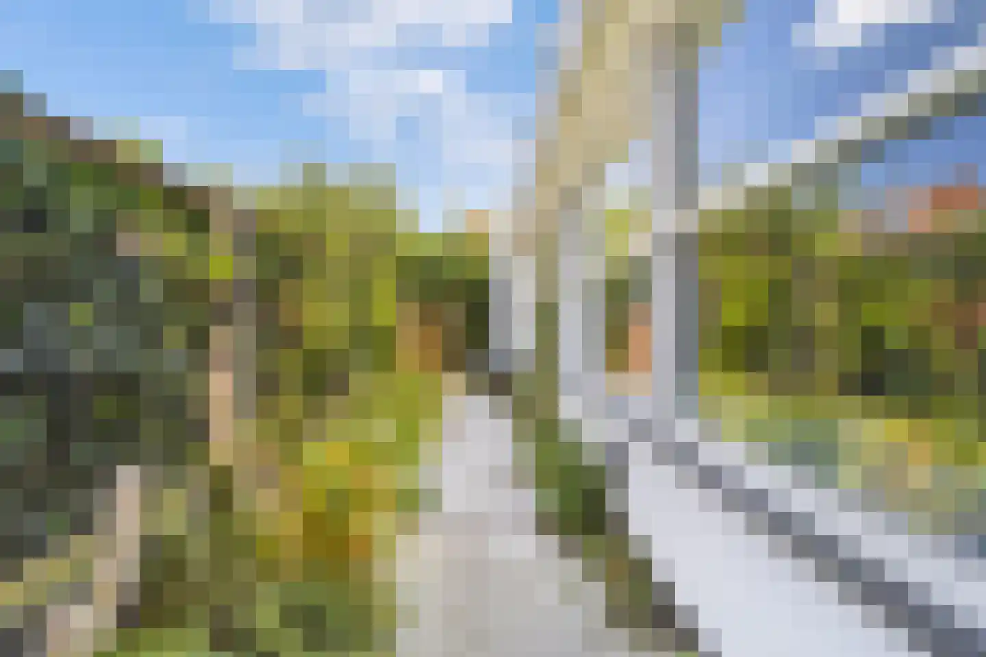 Mient 111 Castricum thumbnail 9