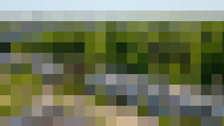Mient 112 Den Haag thumbnail 16