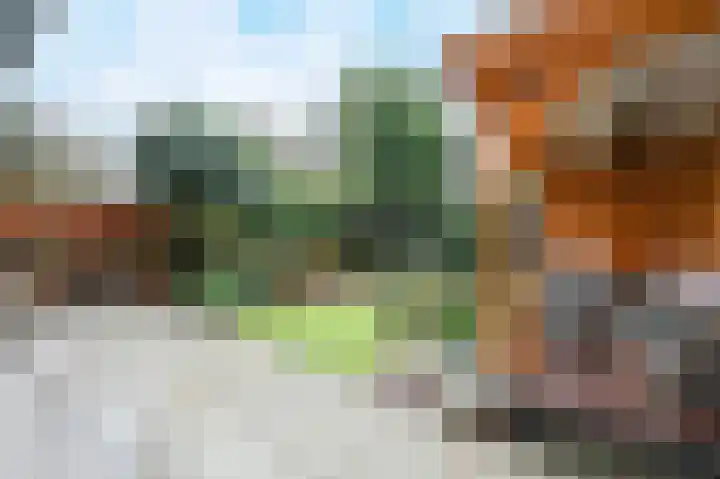 Mient 112 Den Haag thumbnail 25