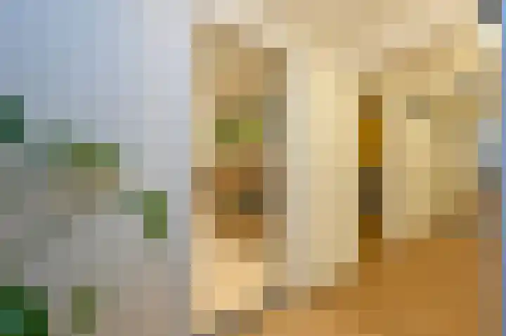 Mient 112 Den Haag thumbnail 47