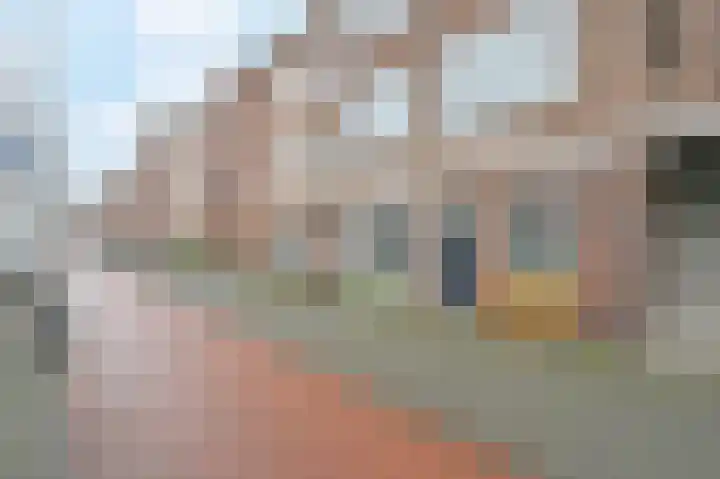 Mient 112 Den Haag thumbnail 6