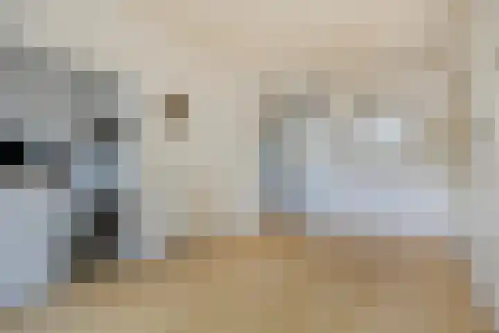 Mient 129 Den Haag thumbnail 15