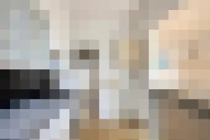 Mient 129 Den Haag thumbnail 17