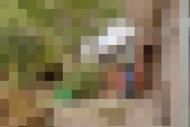 Mient 129 Den Haag thumbnail 18