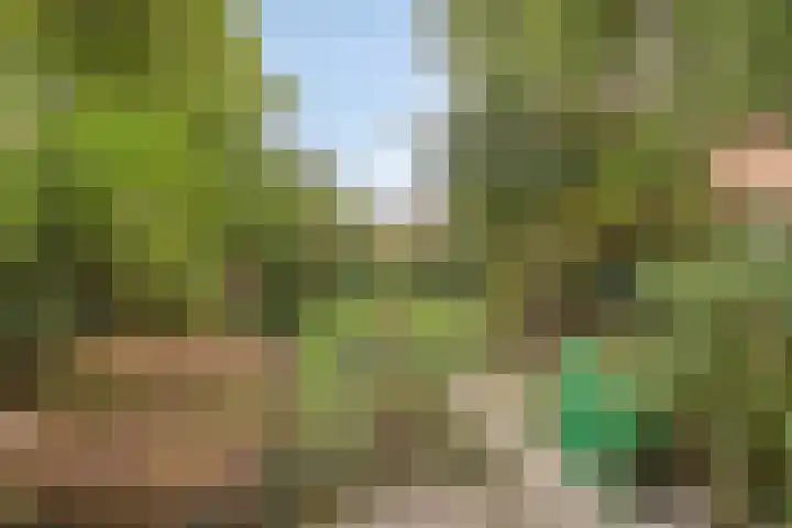 Mient 129 Den Haag thumbnail 19