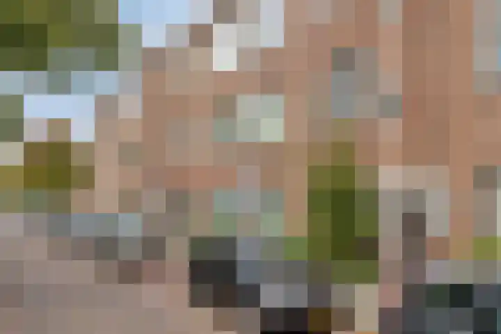 Mient 129 Den Haag thumbnail 20
