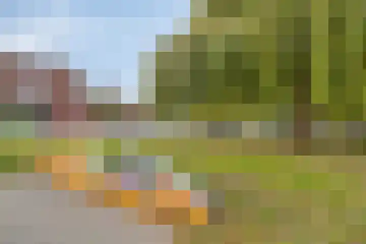 Mient 129 Den Haag thumbnail 21