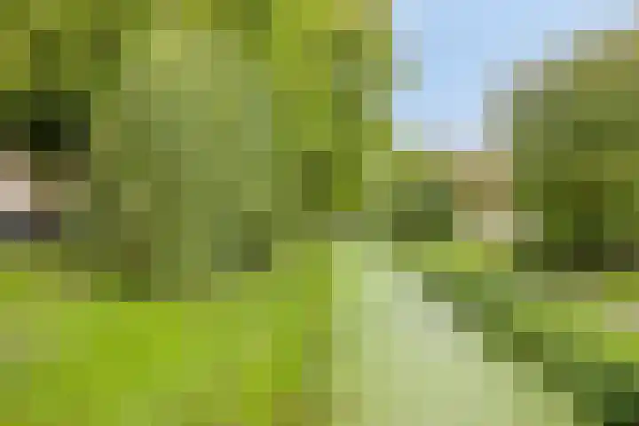 Mient 129 Den Haag thumbnail 22