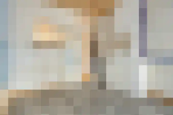 Mient 129 Den Haag thumbnail 7