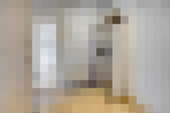 Mient 129 Den Haag thumbnail 8
