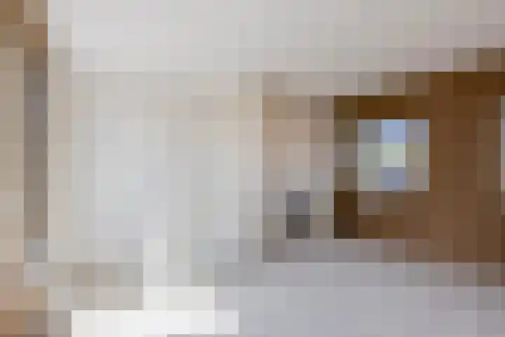 Mient 136 Capelle aan den IJssel thumbnail 29