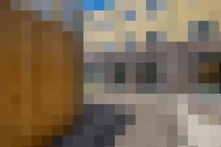 Mient 136 Capelle aan den IJssel thumbnail 35