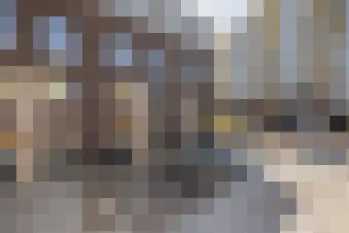 Mient 136 Capelle aan den IJssel thumbnail 5