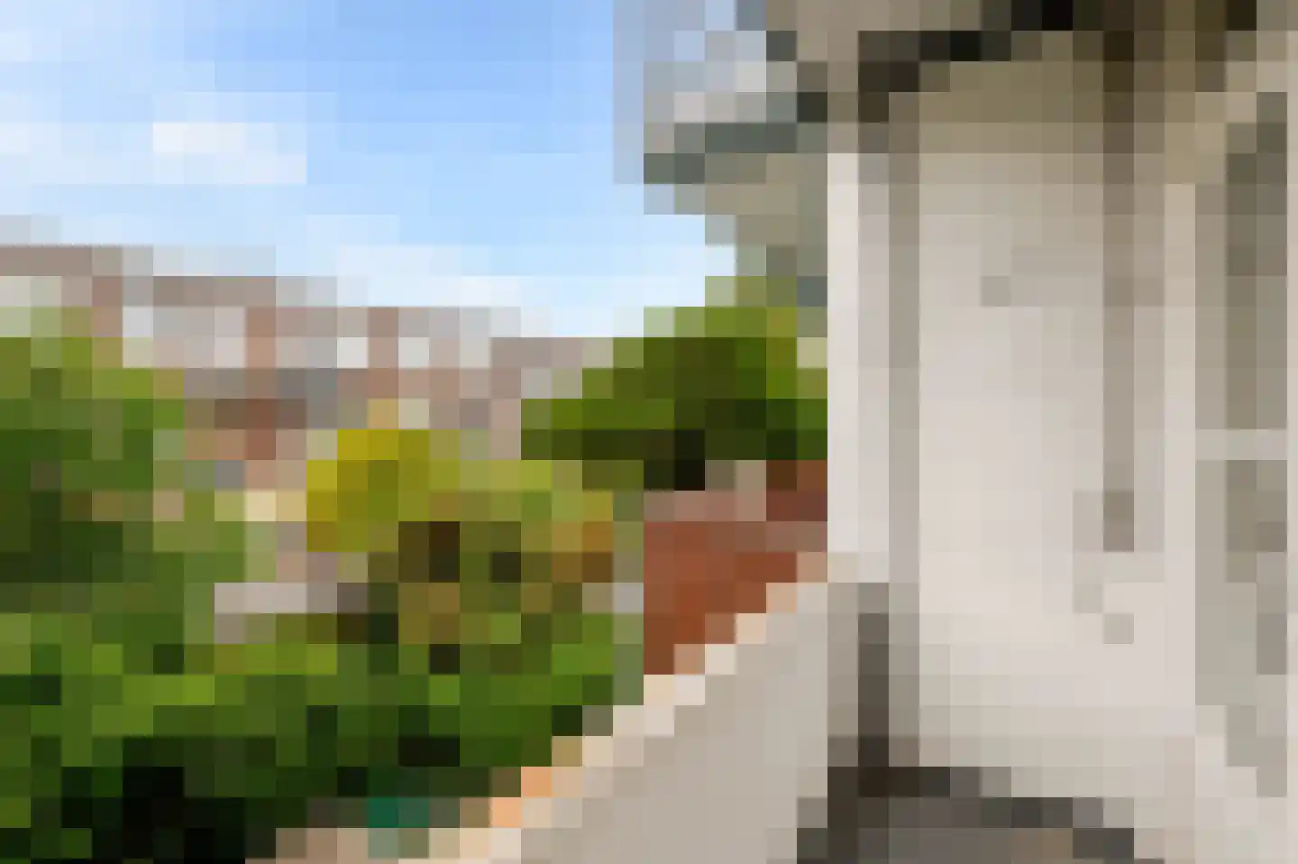 Mient 138 Den Haag thumbnail 23