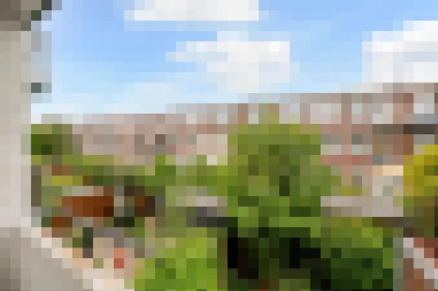 Mient 138 Den Haag thumbnail 24