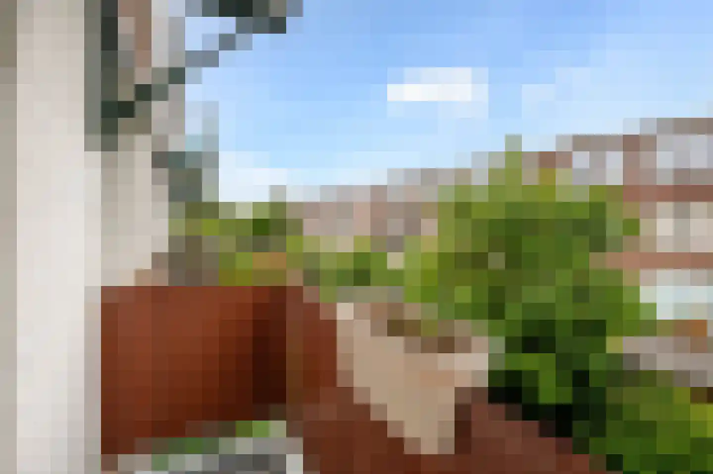 Mient 138 Den Haag thumbnail 32