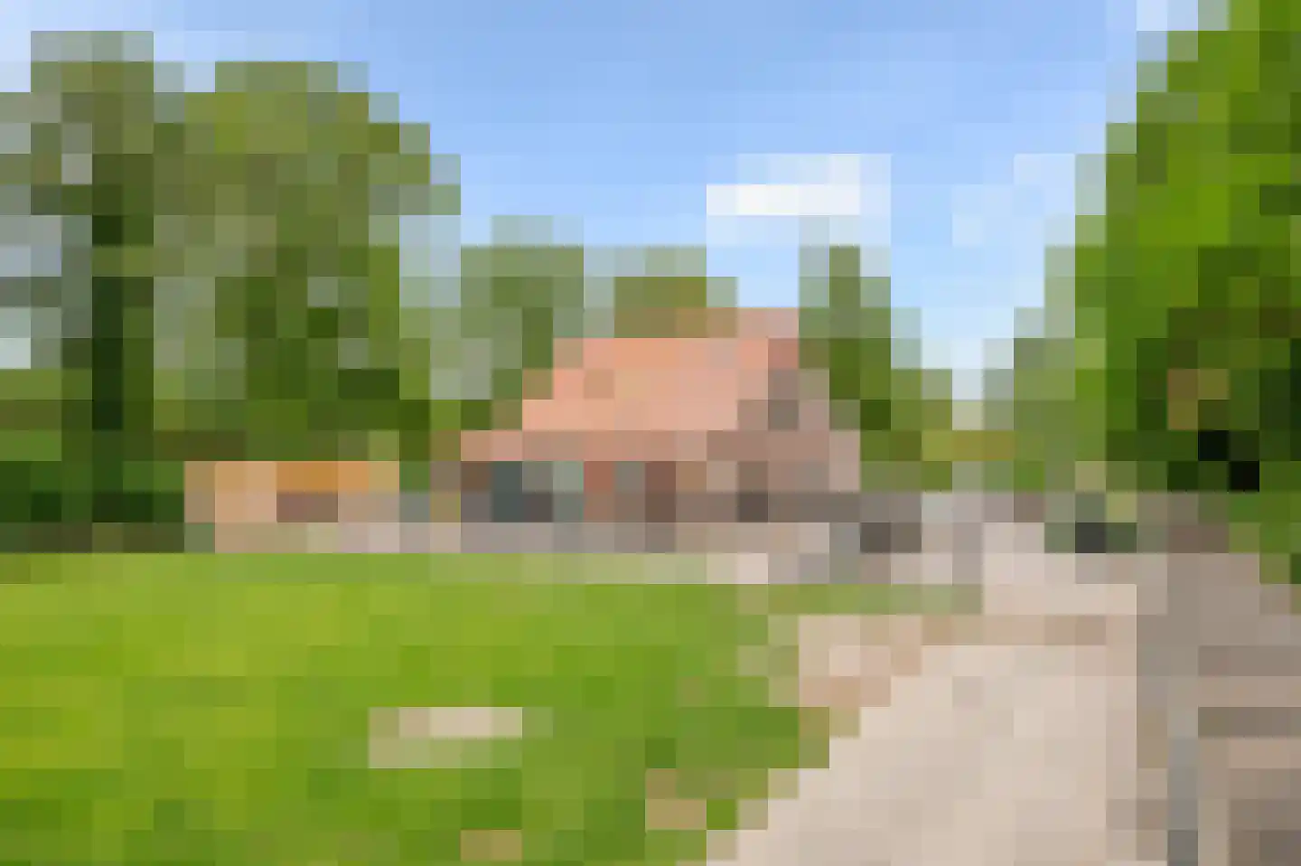 Mient 138 Den Haag thumbnail 42