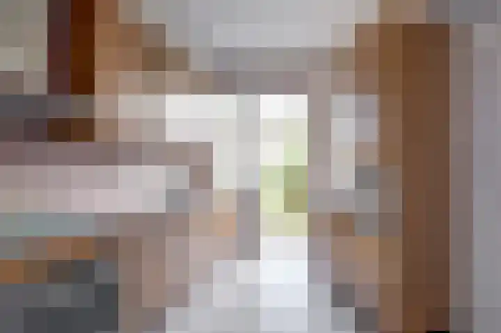 Mient 151 Den Haag thumbnail 12