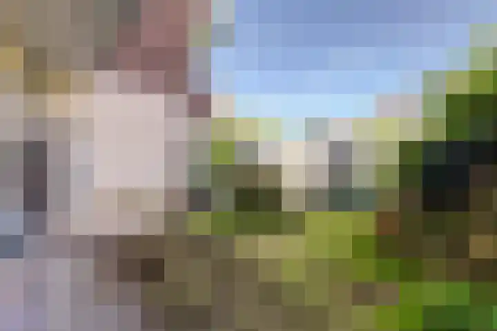 Mient 151 Den Haag thumbnail 21