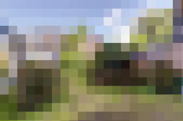 Mient 151 Den Haag thumbnail 23