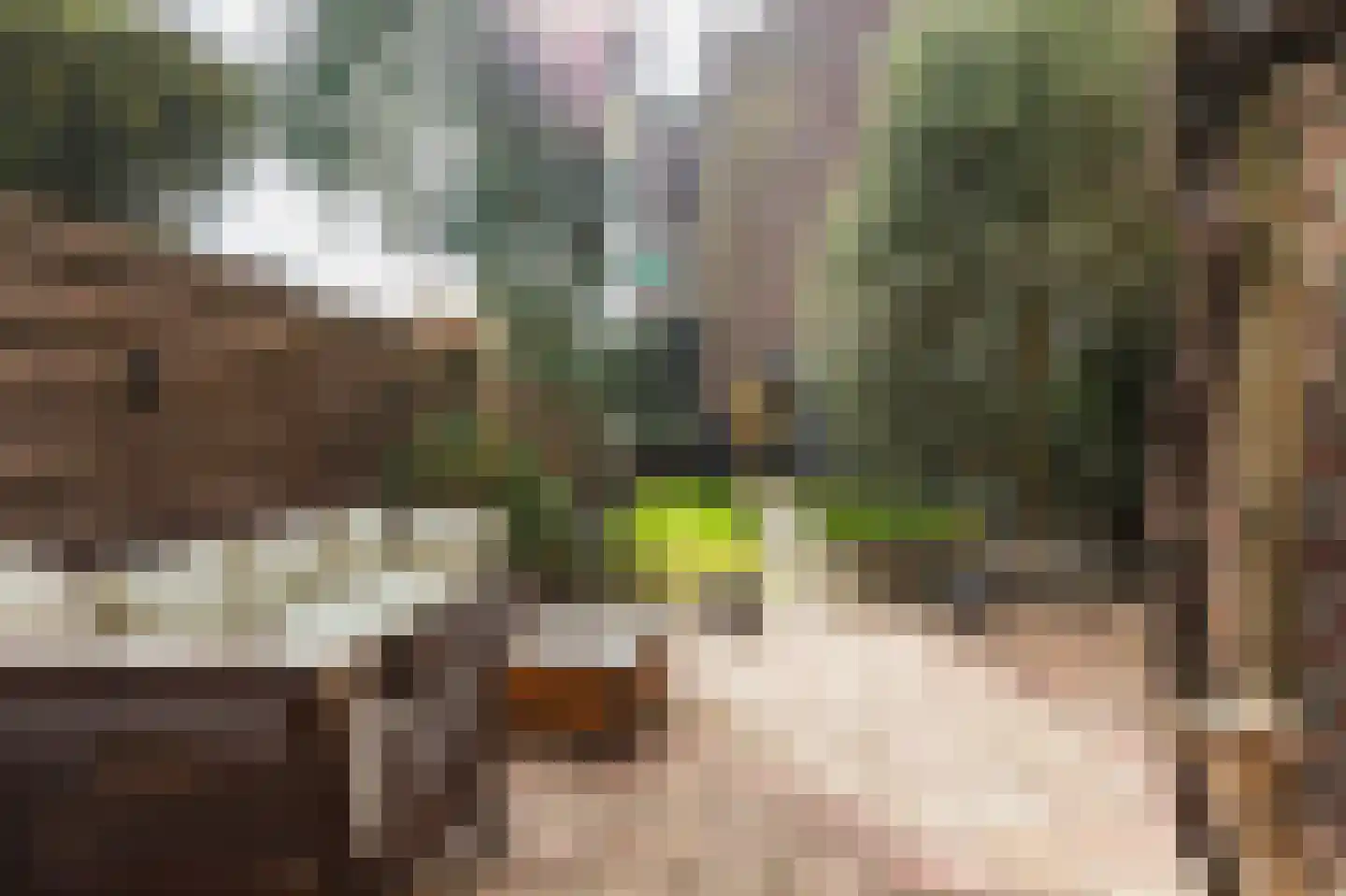 Mient 16 Den Haag thumbnail 17