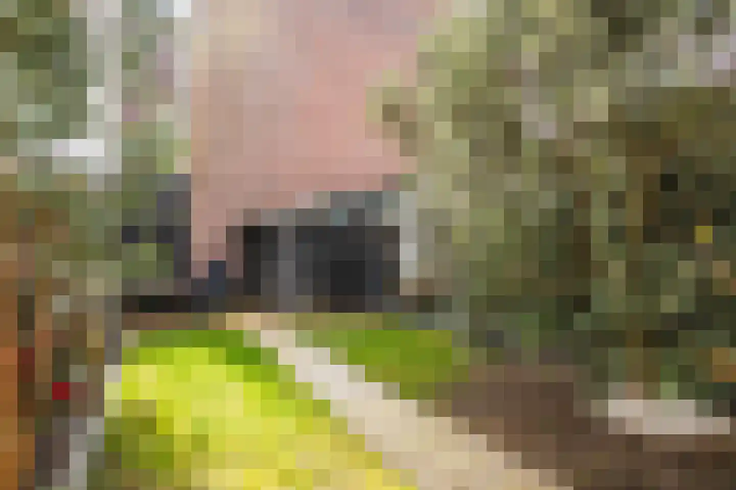 Mient 16 Den Haag thumbnail 20